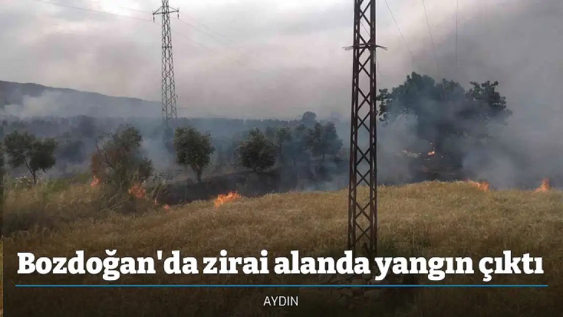 Bozdoğan'da zirai alanda yangın çıktı