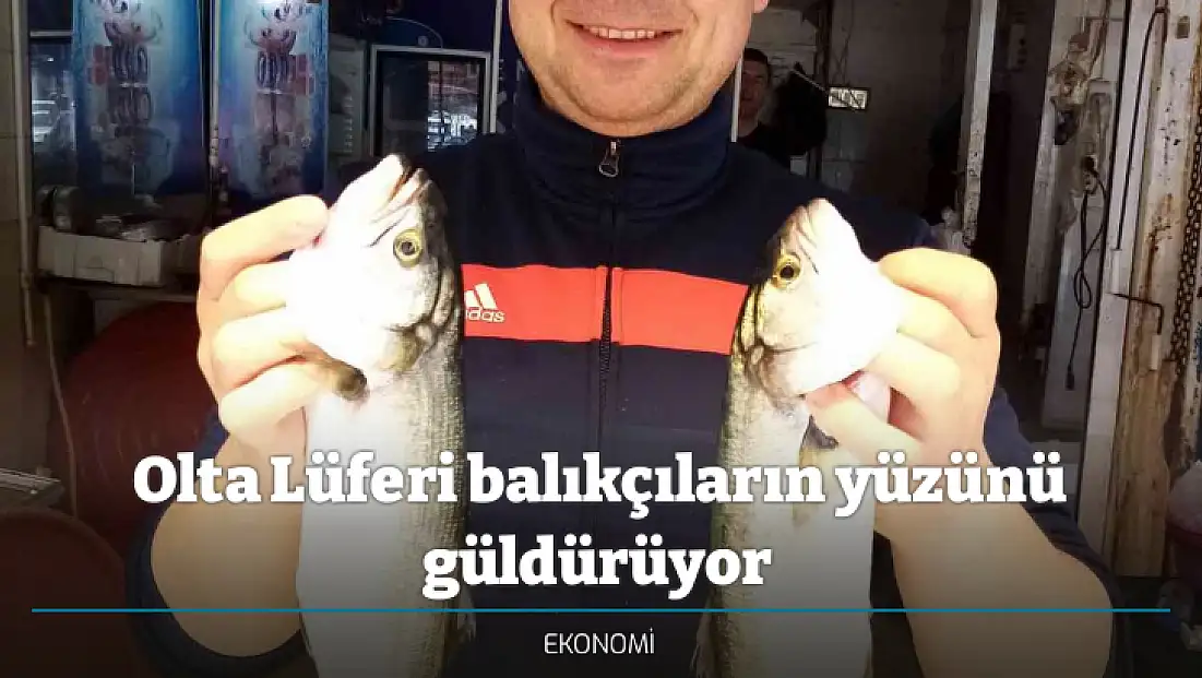 Olta Lüferi balıkçıların yüzünü güldürüyor