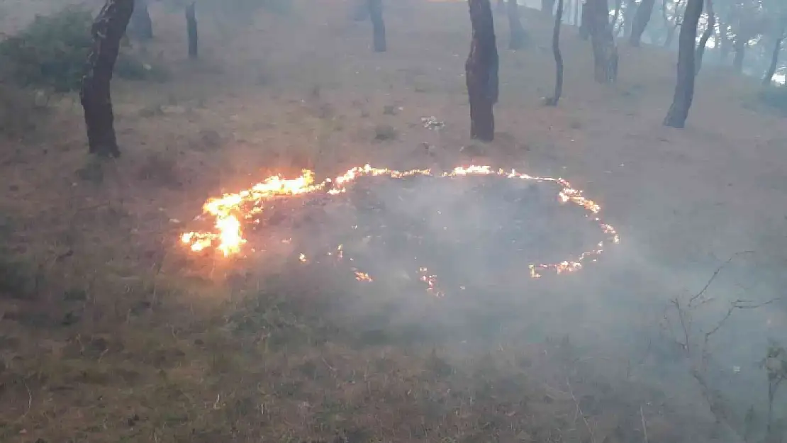 Burhaniye'de orman yangını büyümeden söndürüldü
