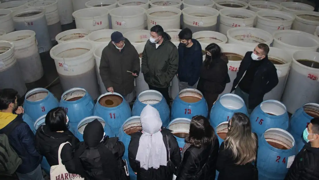 Burhaniye'de üniversiteli gençlerden zeytinyağı fabrikasına teknik gezi