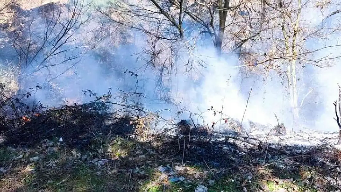 Çanakkale'de çöplük yangını ormana sıçramadan söndürüldü