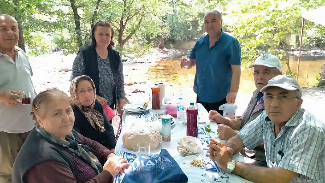 Çorumlular Edremit' teki piknikte hasret giderdi