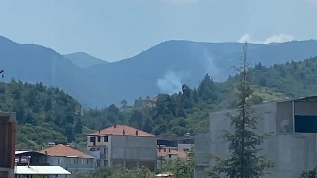 Manisa'da çıkan orman yangınında 1 hektar alan zarar gördü