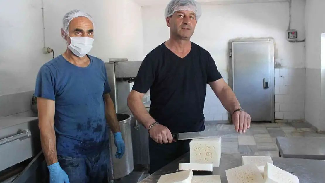 Manyas kelle peyniri İstanbul peynir fuarında tanıtılacak
