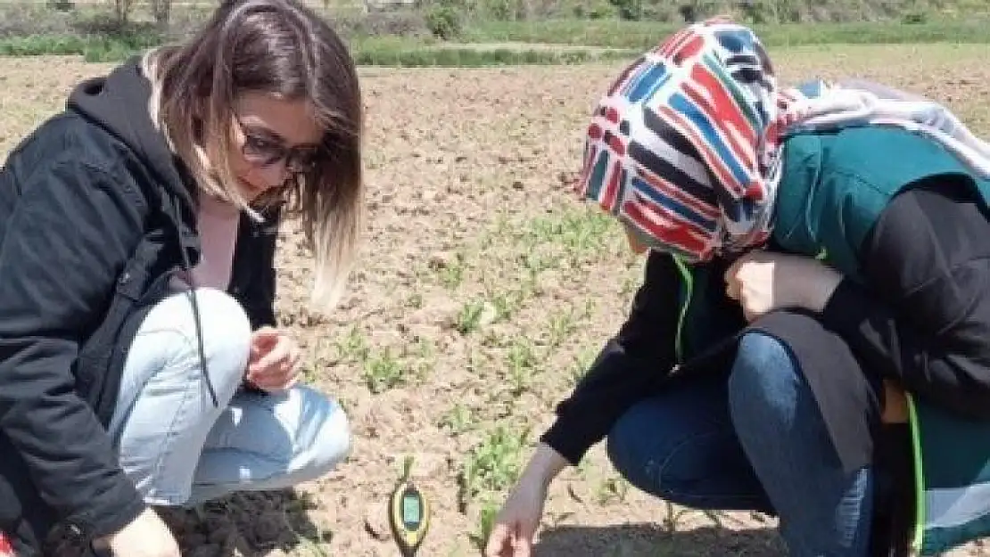 Tavşanlı Balıköy bölgesinde çiftçiler bilgilendirildi