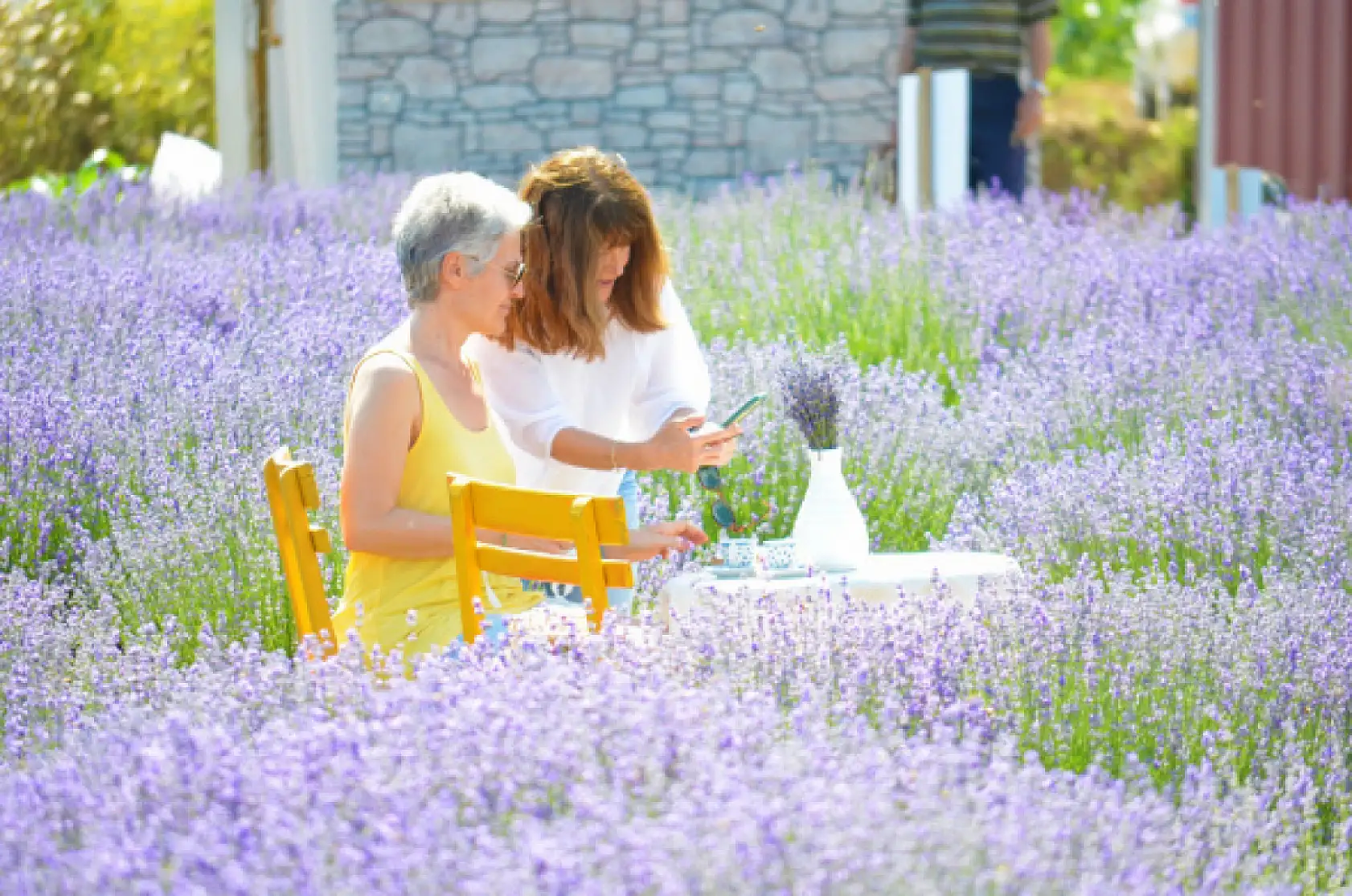 İstanbul'un stresinden kaçan soluğu burada alıyor