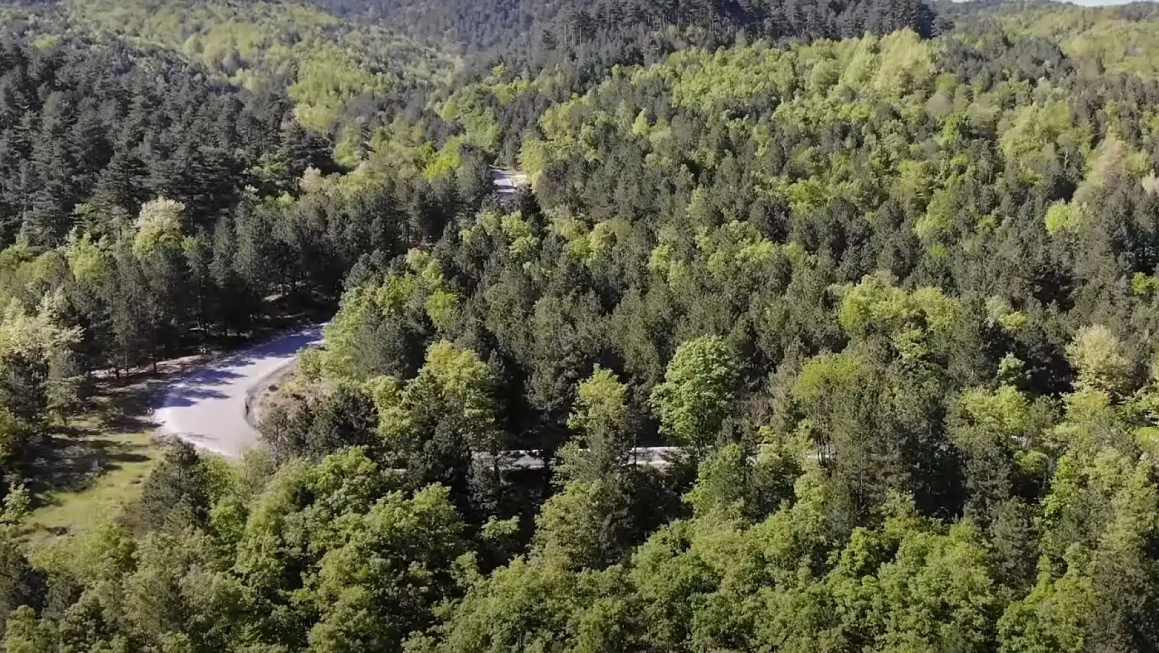 Yeşilin binbir tonu: Kazdağları