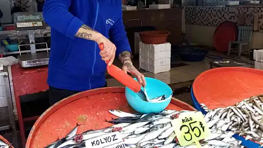 Bandırma balık halinde ramazan bereketi