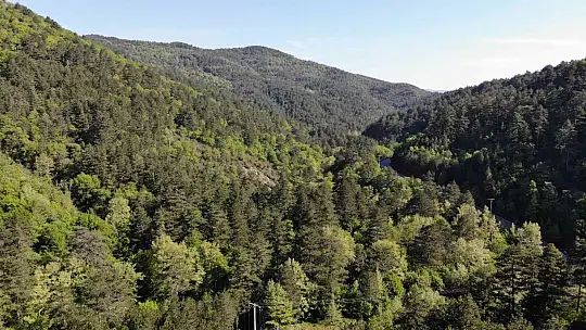 Kazdağları'nda yeşilin bin bir tonu havadan görüntülendi
