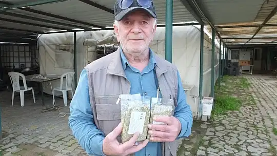 Zeytin yaprağının korona virüse iyi geldiğini iddia etti