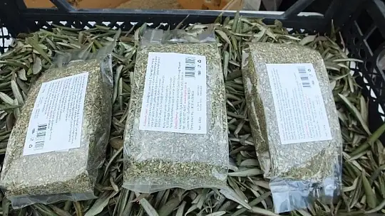 Zeytin yaprağının korona virüse iyi geldiğini iddia etti