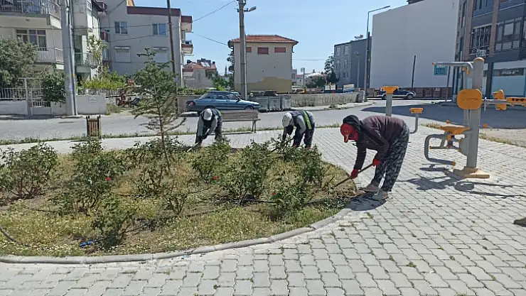 Burhaniye'de yabani otlar temizleniyor