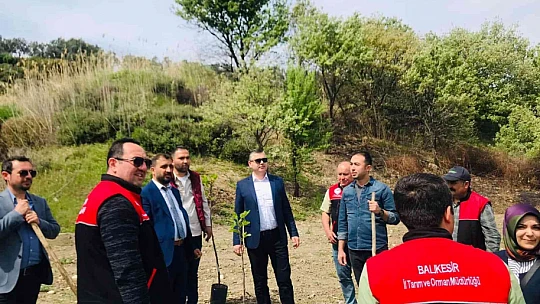 Ayvalık'ta incir demonstrasyon bahçesi
