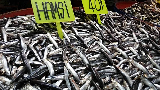 Balık tezgahları buz kesti