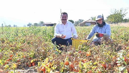 Balıkesir Büyükşehir Belediyesi'nden üreticiye 15 milyon destek