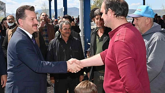 Balıkesir Büyükşehir'den yerli üreticiye damızlık koç desteği