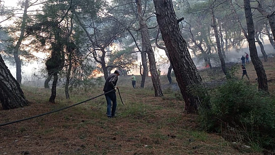 Balıkesir'de gece boyunca çıkan 3 orman yangını söndürüldü