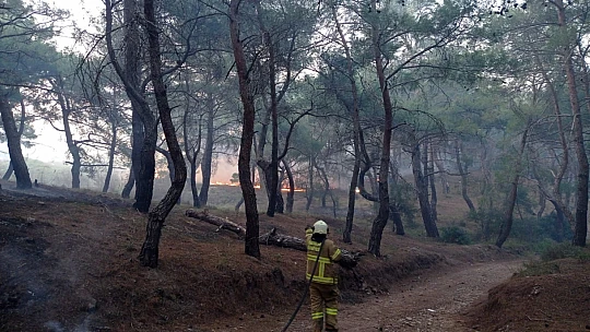 Balıkesir'de gece boyunca çıkan 3 orman yangını söndürüldü