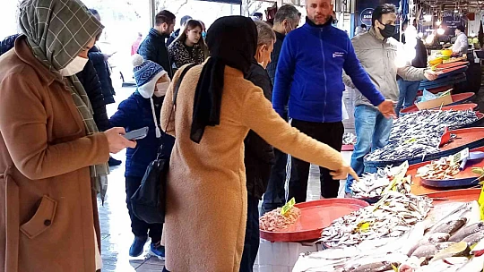 Bandırma balık halinde hamsi bolluğu yaşanıyor
