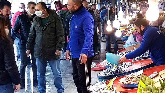 Bandırma balık halinde hamsi bolluğu yaşanıyor