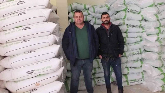 Burhaniye'de zeytinde gübreleme başladı