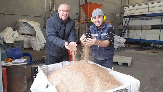 Çevre dostu yakıt zeytin çekirdeği yok satıyor