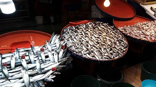 Fırtına balık tezgahlarını süpürdü