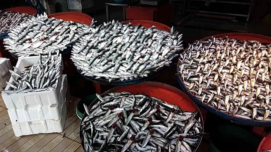 Lodos esti, balık tezgâhları şenlendi