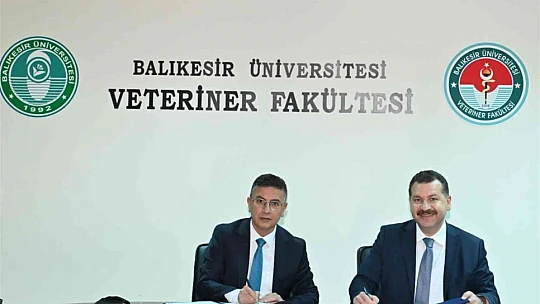 Sokak hayvanları için güç birliği
