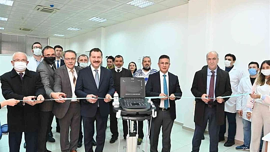 Sokak hayvanları için güç birliği