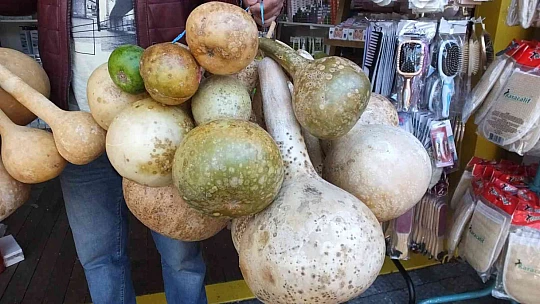 Su kabakları yok satıyor