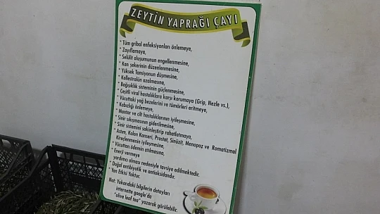 Zeytin yaprağının korona virüse iyi geldiğini iddia etti
