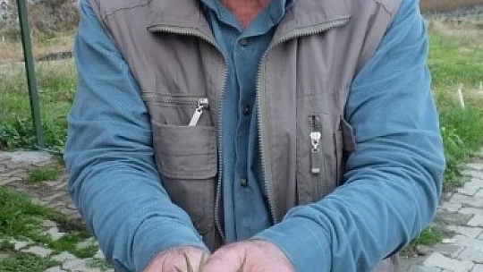Zeytin yaprağının korona virüse iyi geldiğini iddia etti